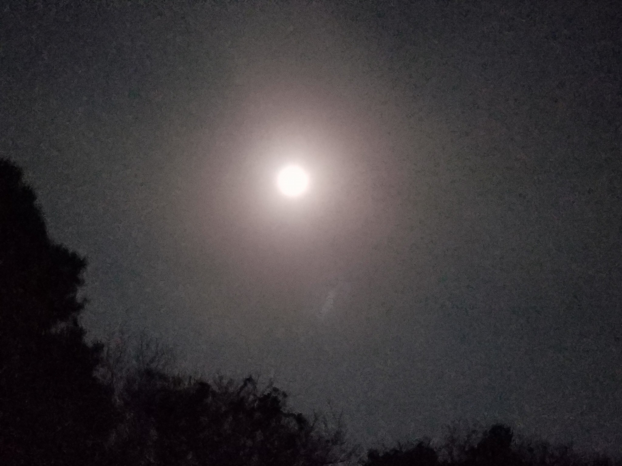 3月31日ブルームーン