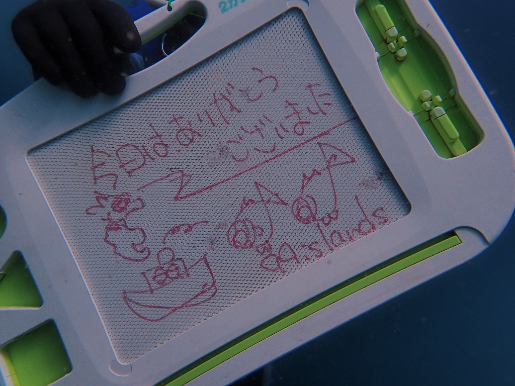 わんだーらんど