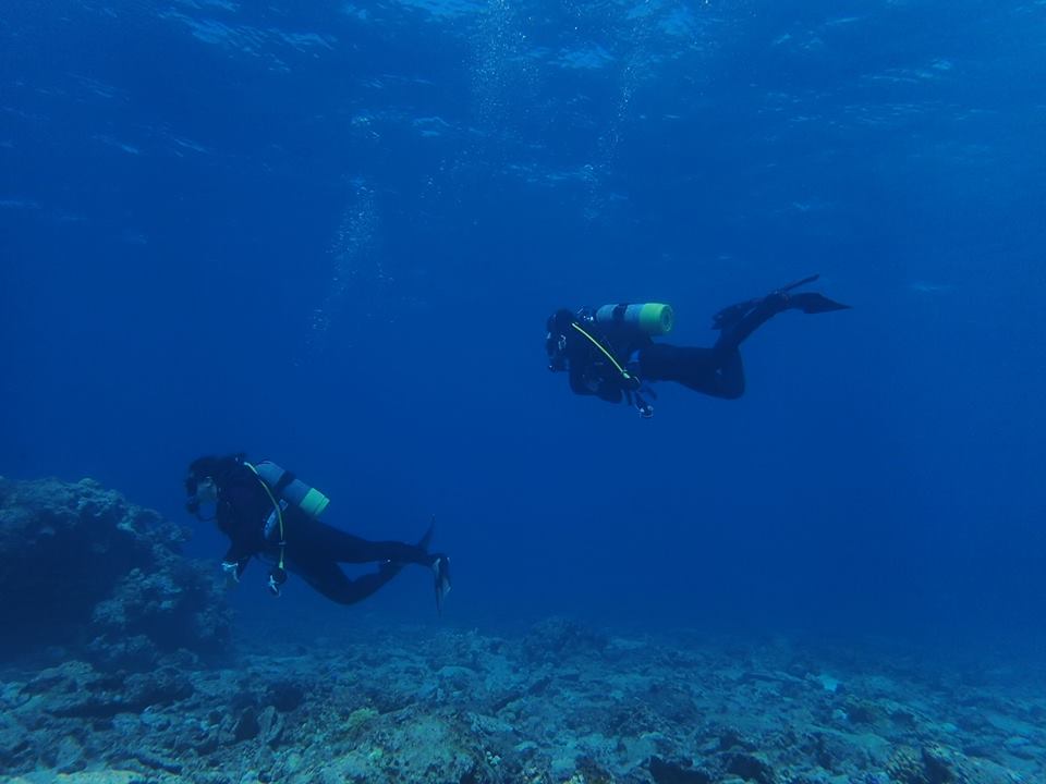 10DIVEおめでとう!