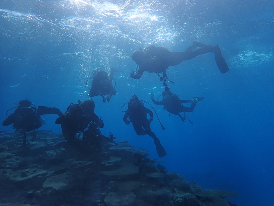 綺麗なサンゴ礁