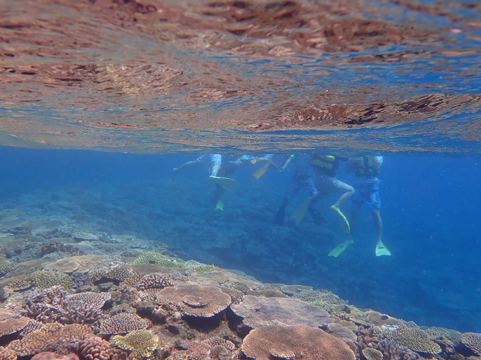 10日スノーケル