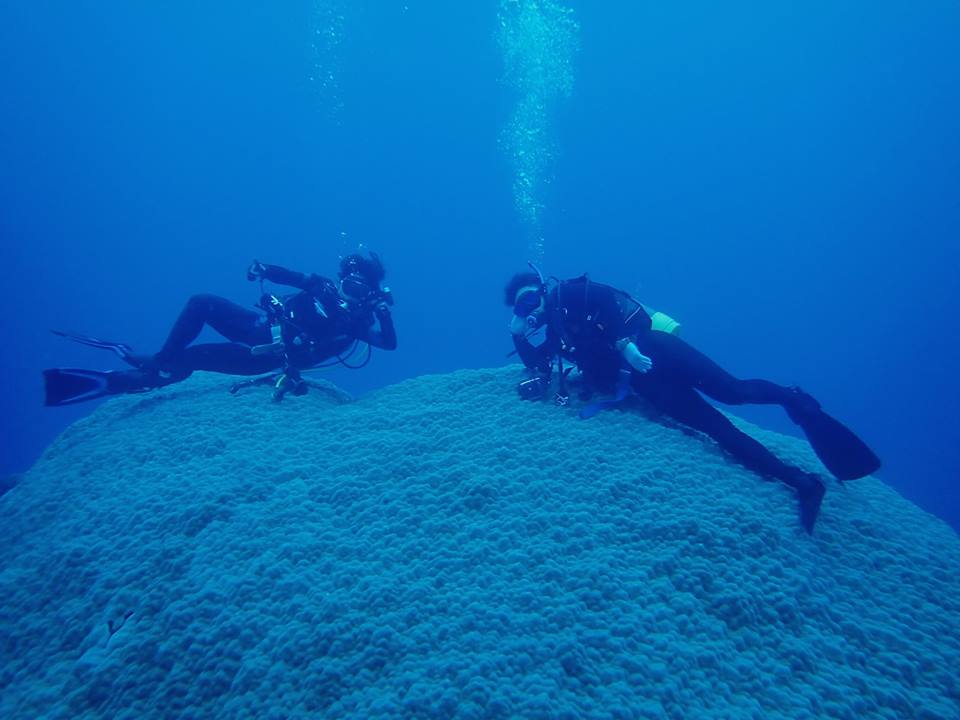 アドバンスチーム