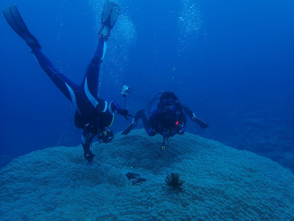 レギはどうした?