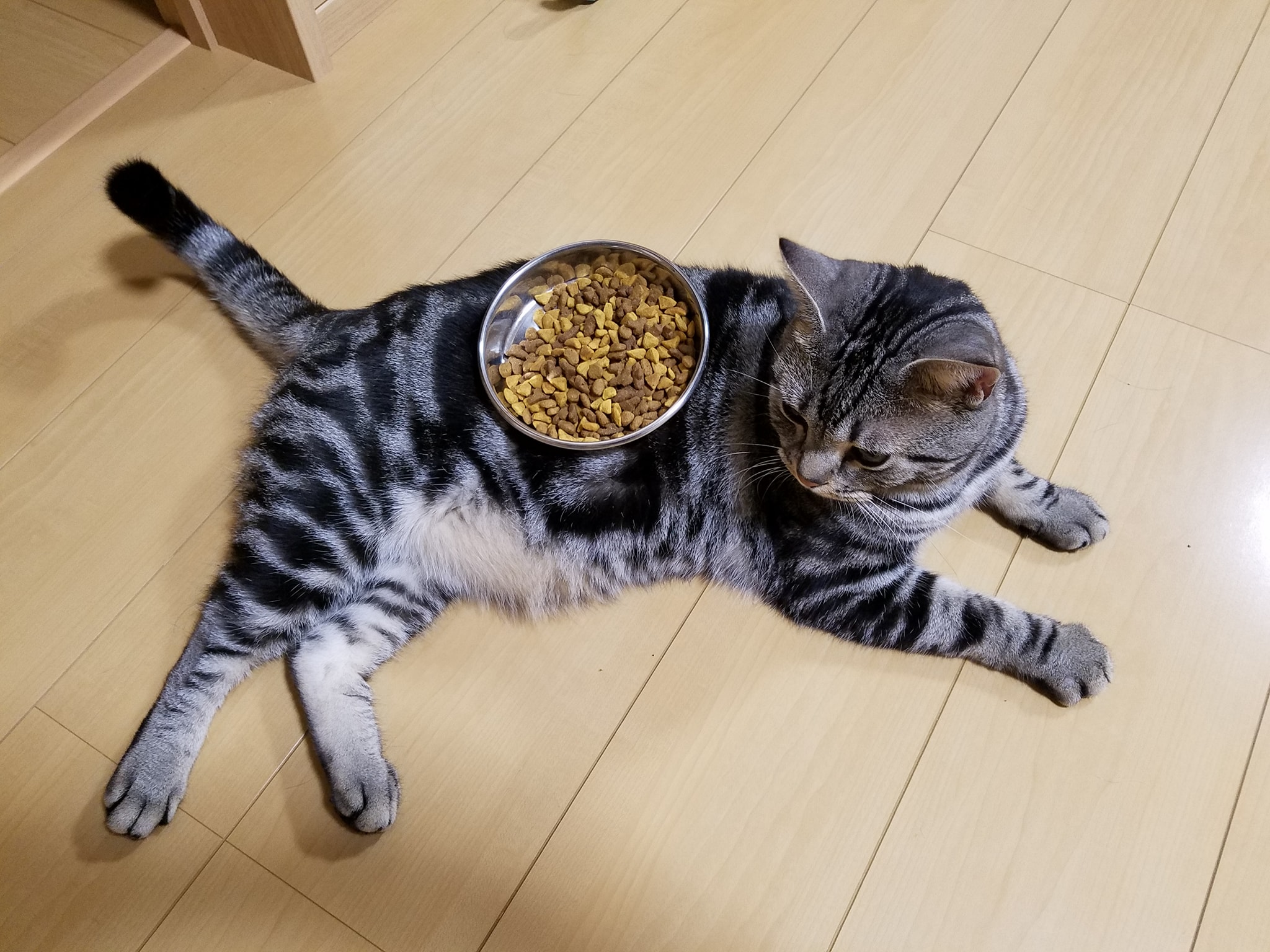 ごはん食べてよ