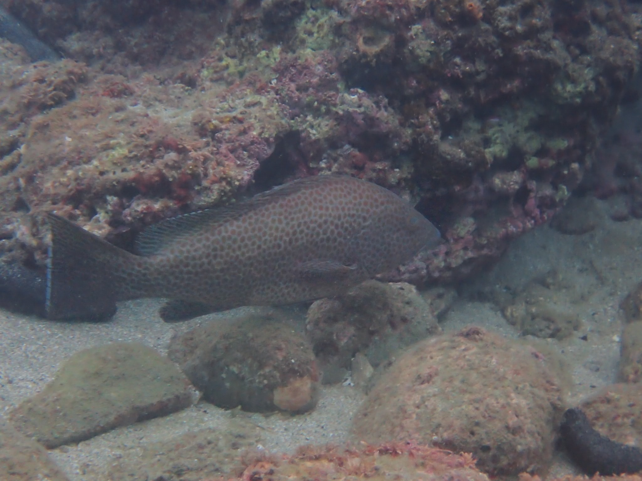 44677330_1404387273026123_1947578045929881600_o