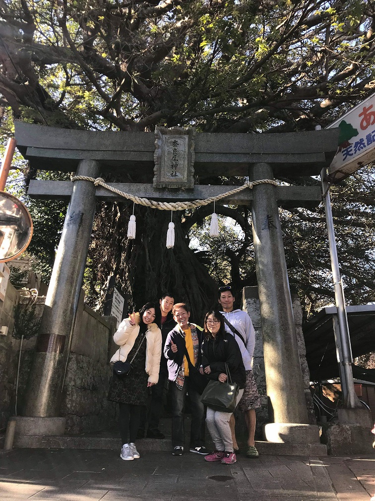 奈良尾神社あこう樹パワスポ