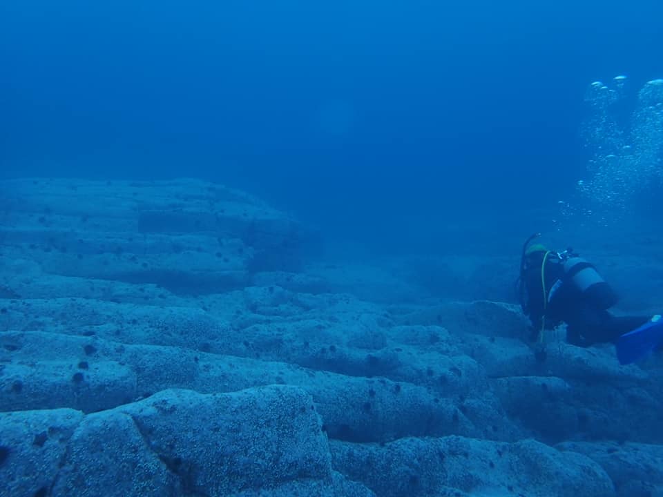 66436838_1599213836876798_4798065123509927936_n