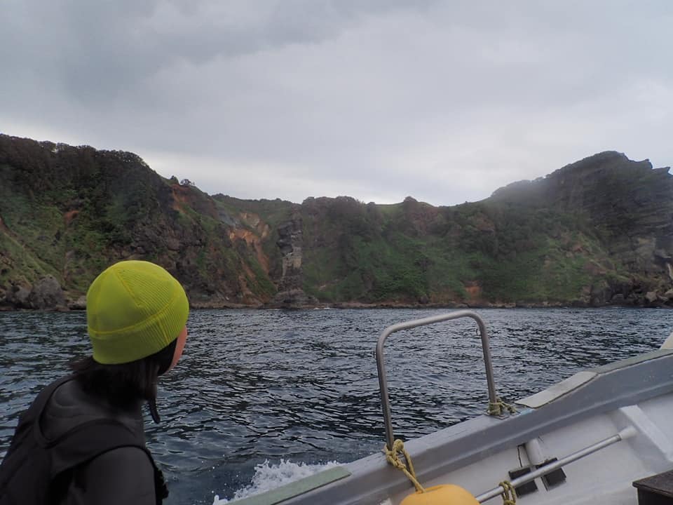 66616030_1599213910210124_988572643995156480_n