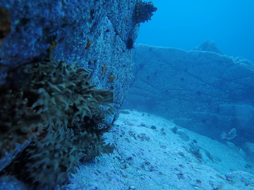 66744252_1599213883543460_5563732546845409280_n