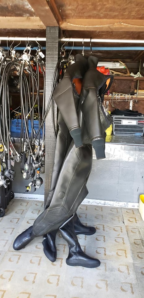 66905889_1599213863543462_5410470469998477312_n