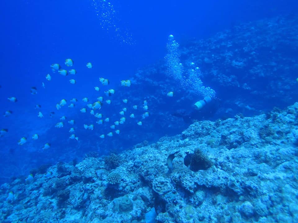 67959601_1627044147427100_8911922981601542144_n