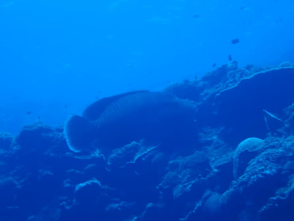 68282821_1627044024093779_2194596123522367488_n