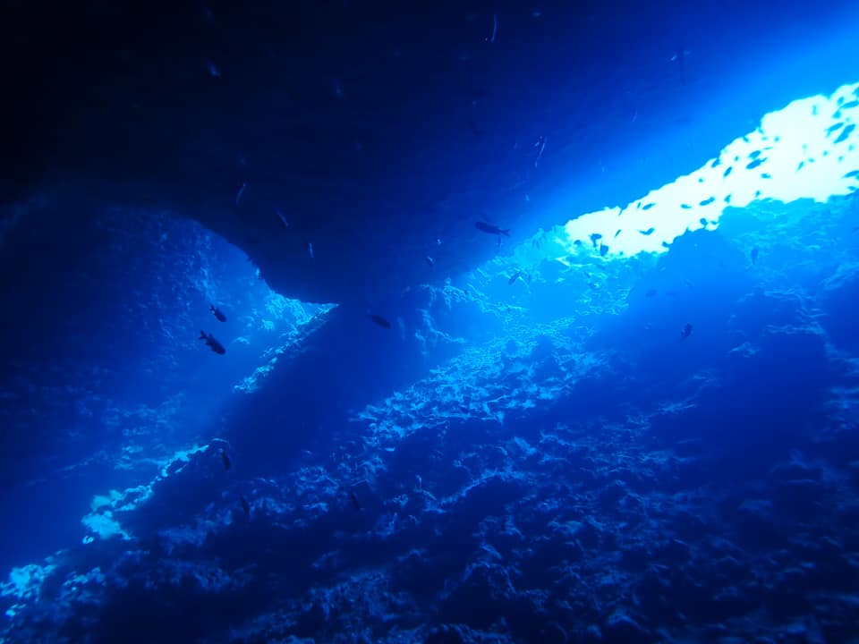 68358066_1627043990760449_6588301032575467520_n