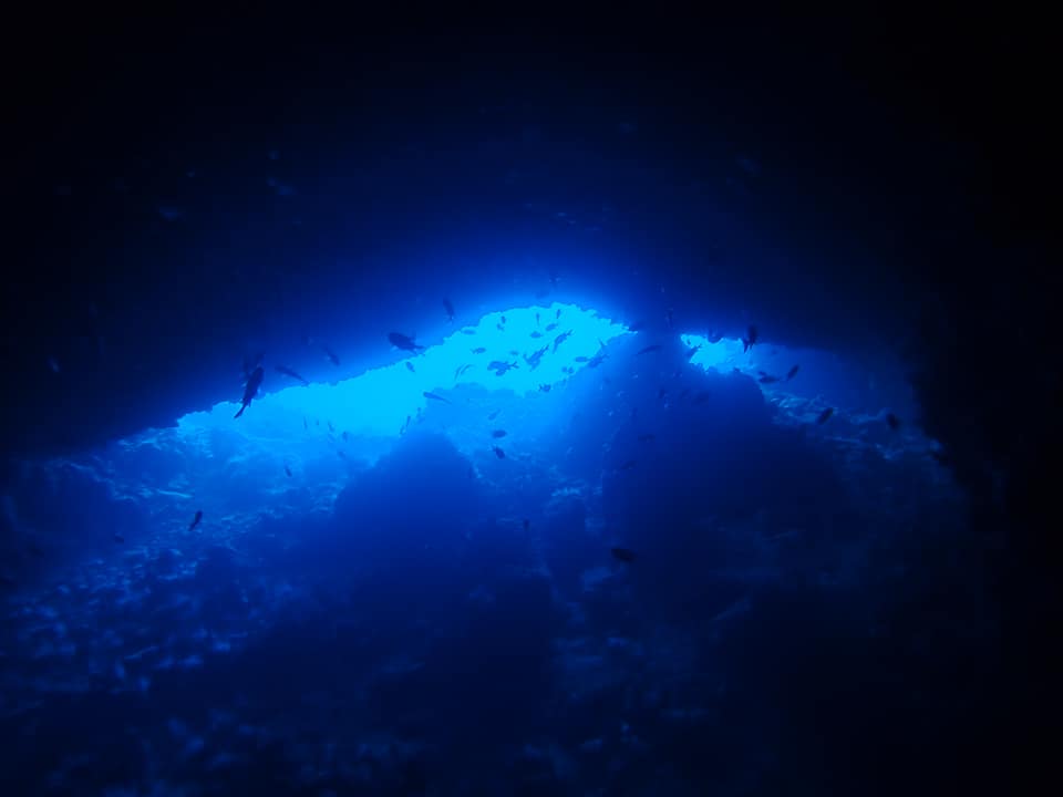 68855647_1623111244487057_4205142100863352832_n