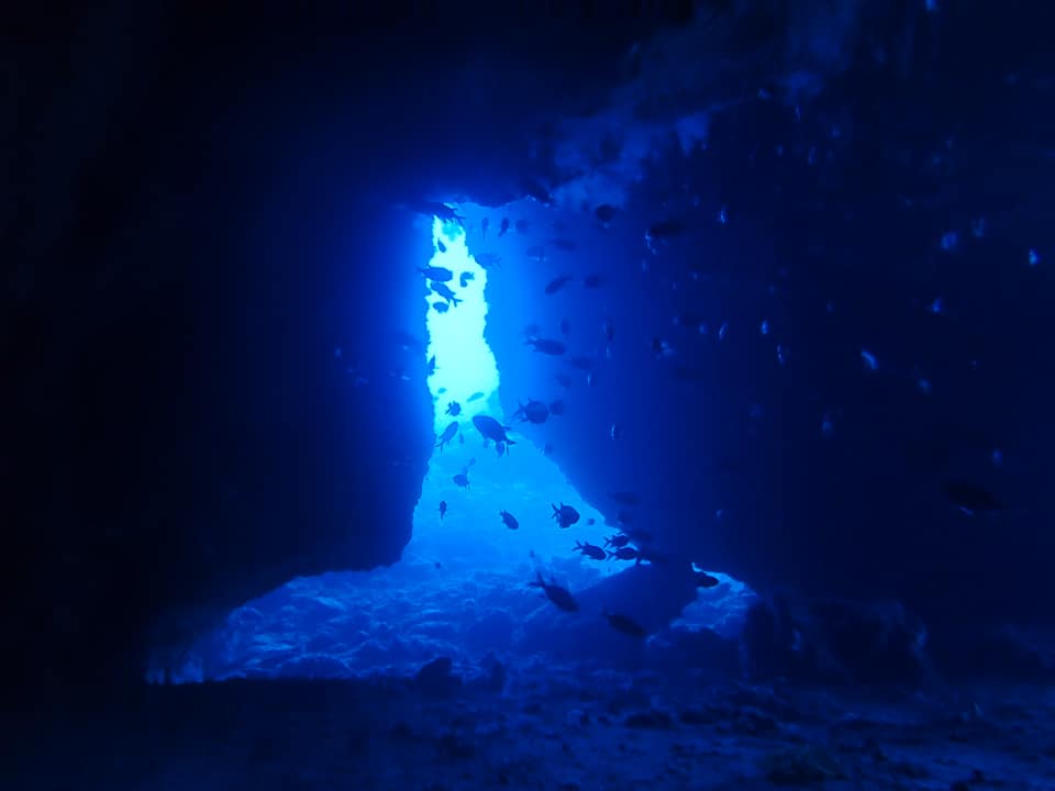 69269475_1626233350841513_131001579179343872_n