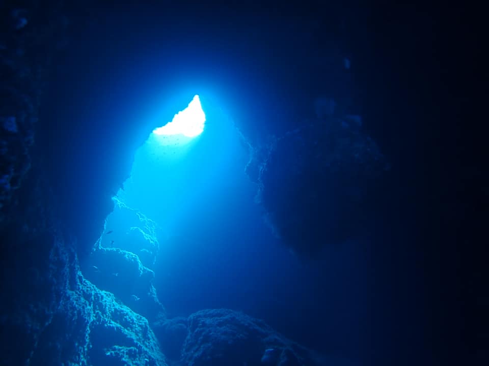 69442062_1630314113766770_4454113143035002880_n