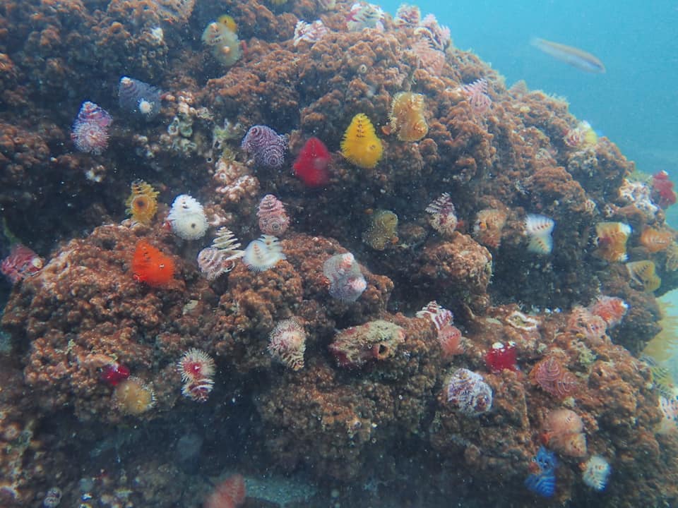 74643554_1700860963378751_5680097182422663168_n