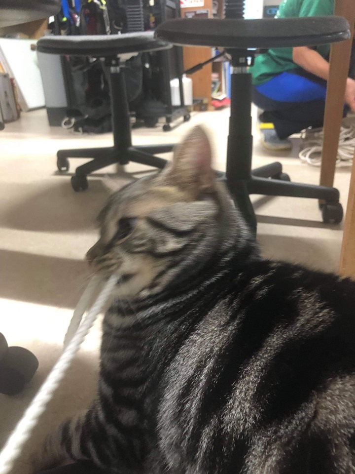 76260143_1701601003304747_6928043511308615680_n