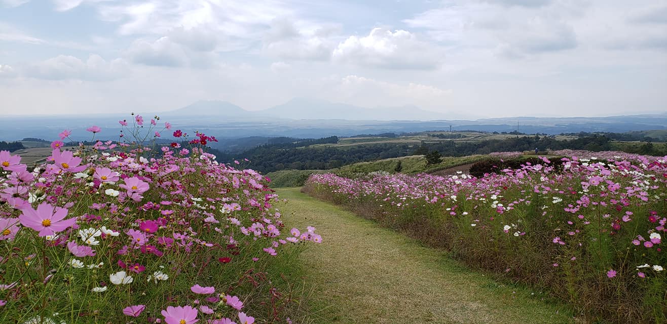 120464412_2047846972013480_2272909188021120386_o