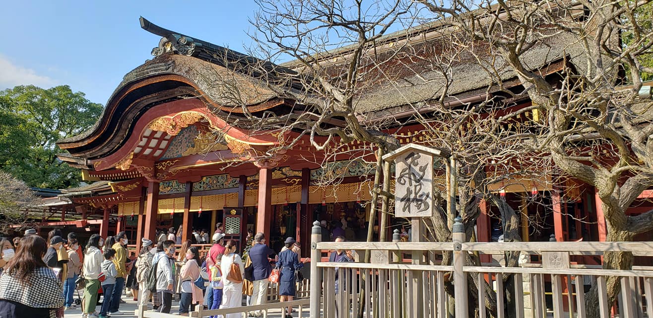 123223375_2080618858736291_8442902687570079208_o