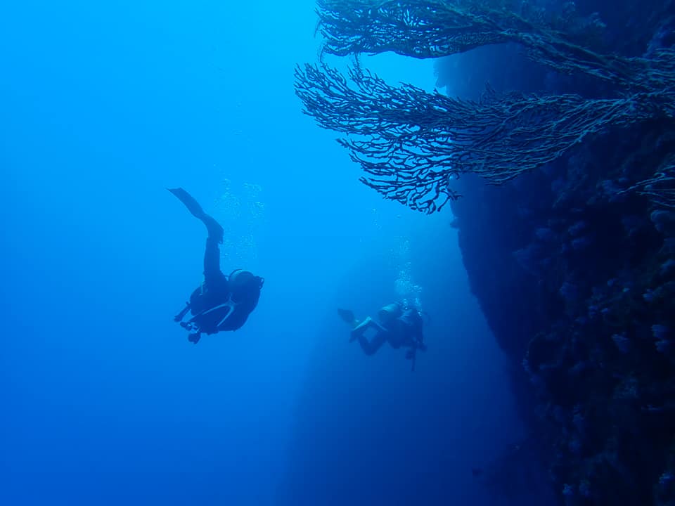 179121809_2249204751877700_8316243387386791949_n