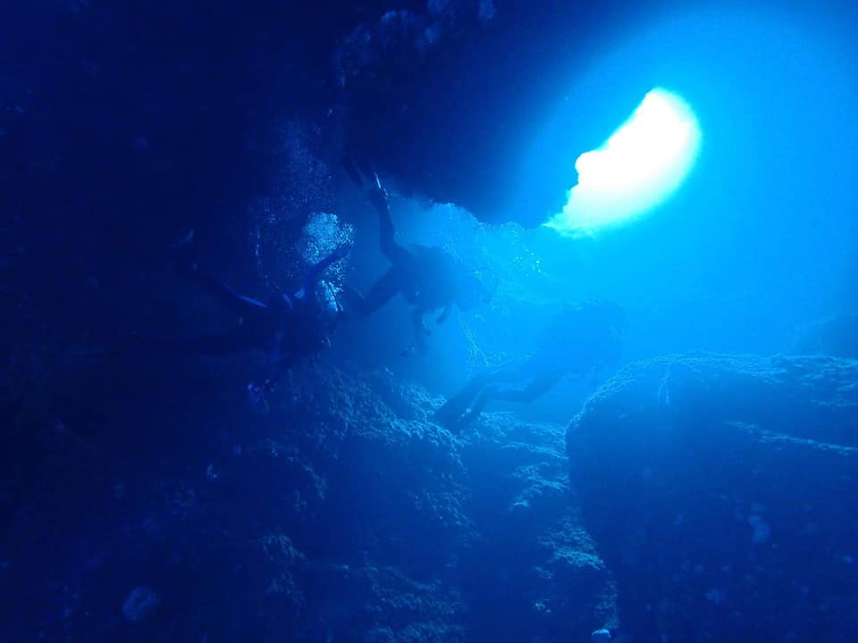 228095318_2343029512495223_1482700973635966513_n