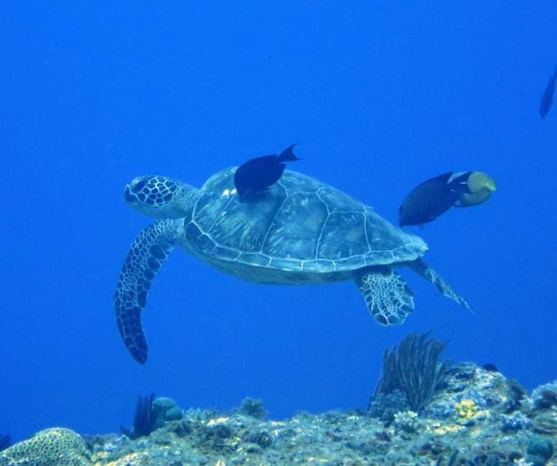 231853471_2337971526334355_3533682486391141140_n