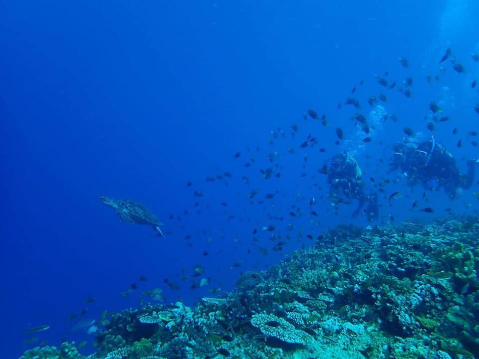 235442742_2342141982583976_8763719703262101755_n