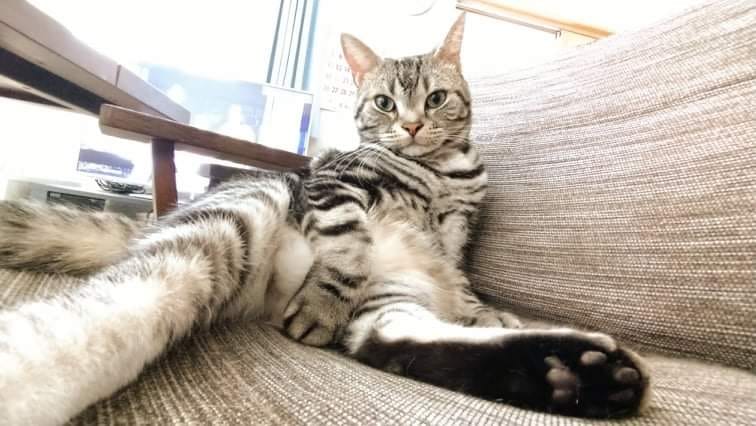 241349457_2359485534182954_5481671181003353326_n