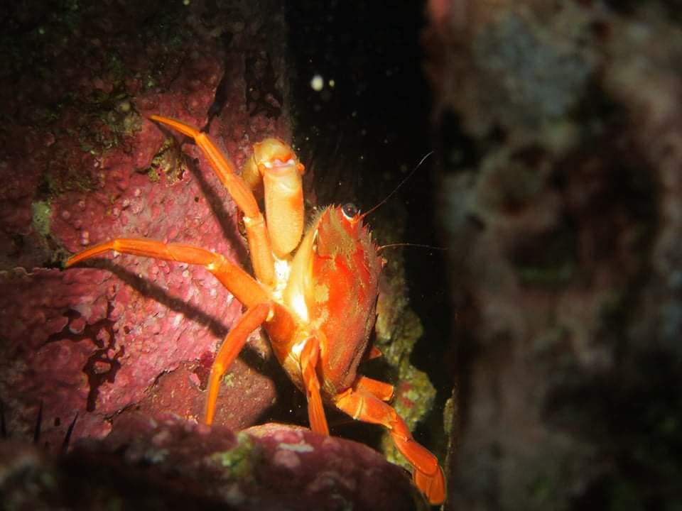 241795686_2363786070419567_4271552967553948440_n