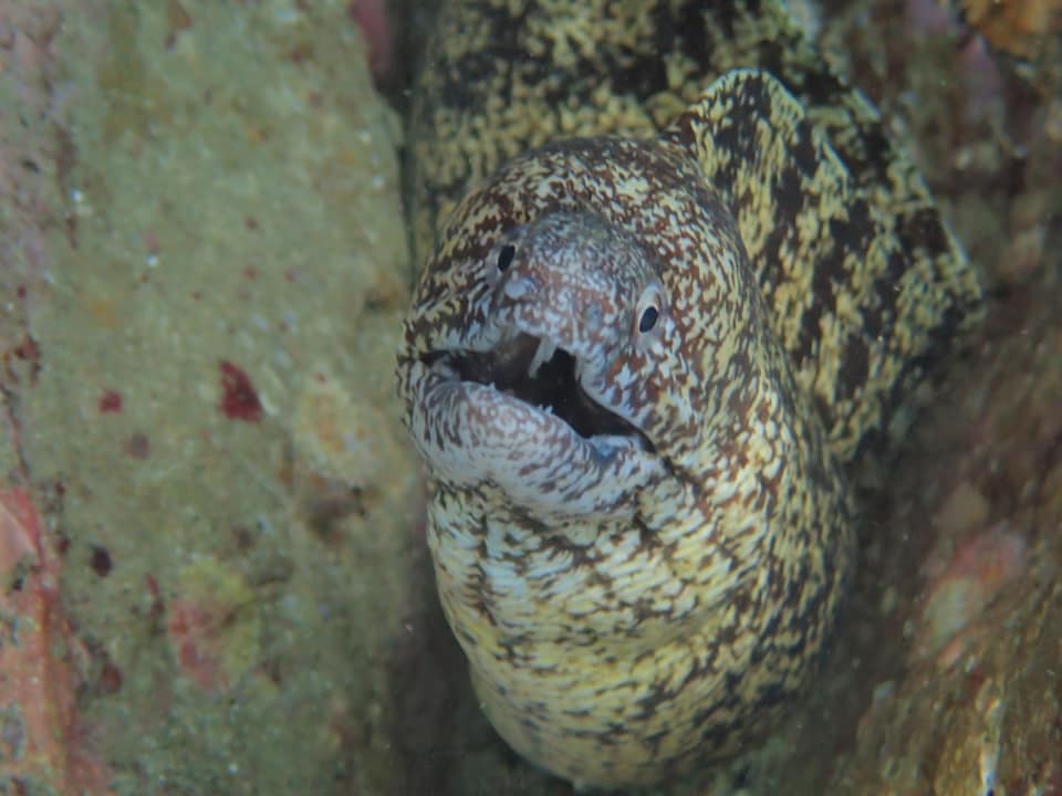 243460329_2377528479045326_7123252765476666042_n