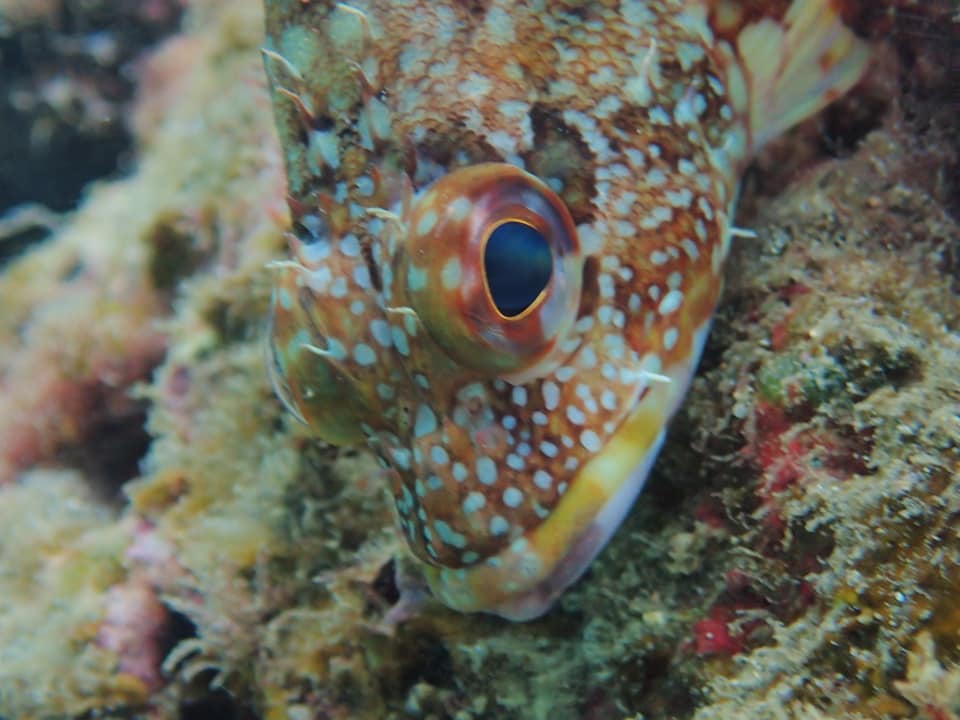 246072689_2392524404212400_7003242062086109898_n