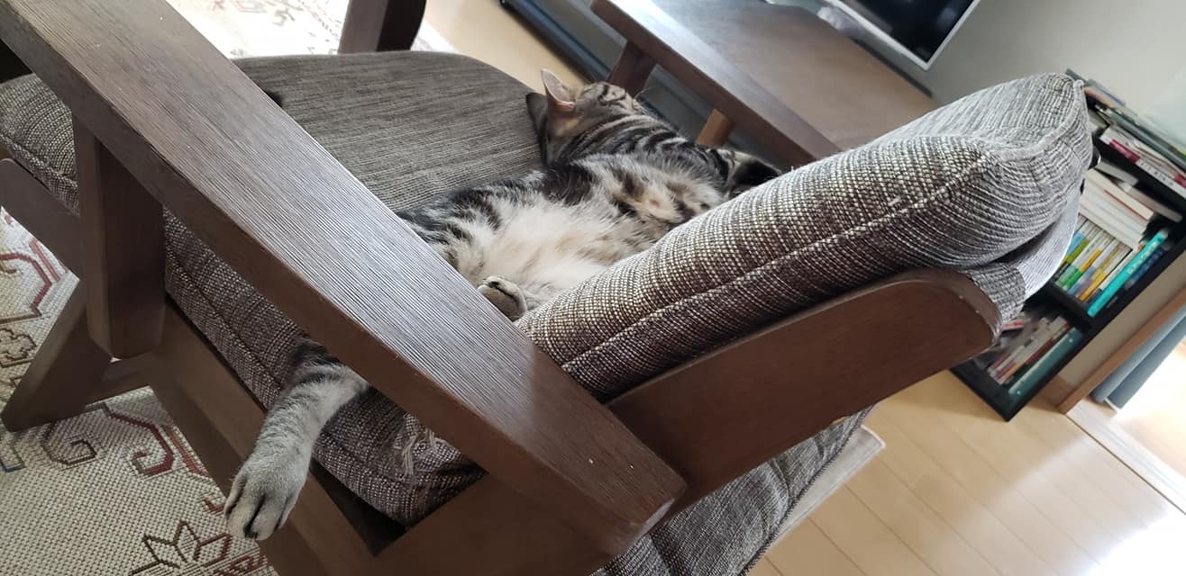 246375234_2393303147467859_4822509652685012899_n