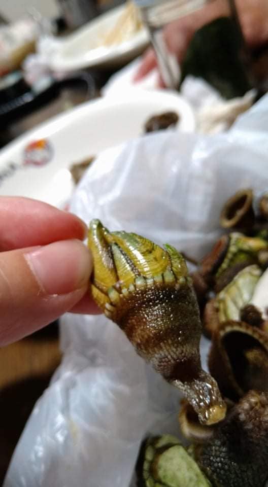 254860412_2411517188979788_5935878528509272031_n