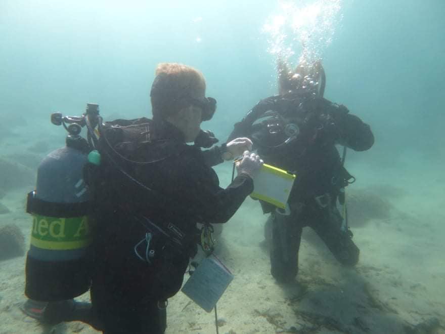 254888237_2411983482266492_760941641281471850_n