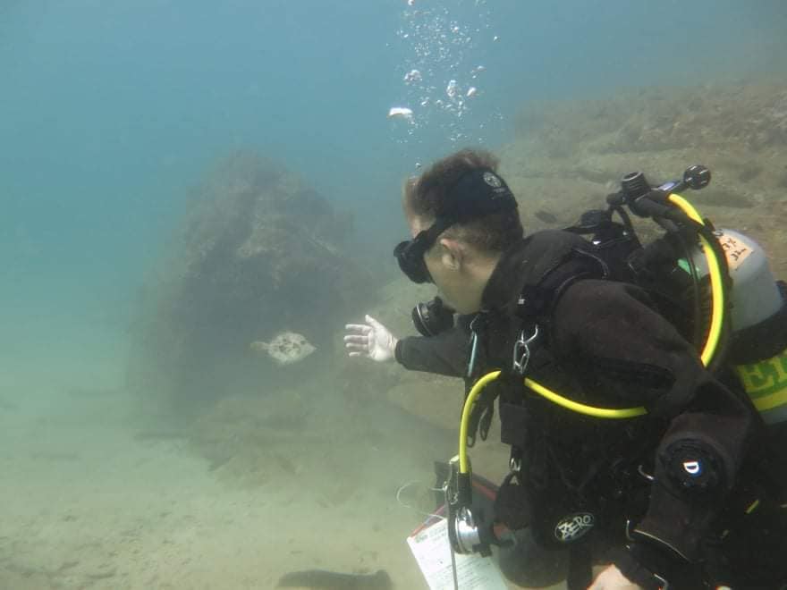 255229182_2411983518933155_6799726154697102334_n