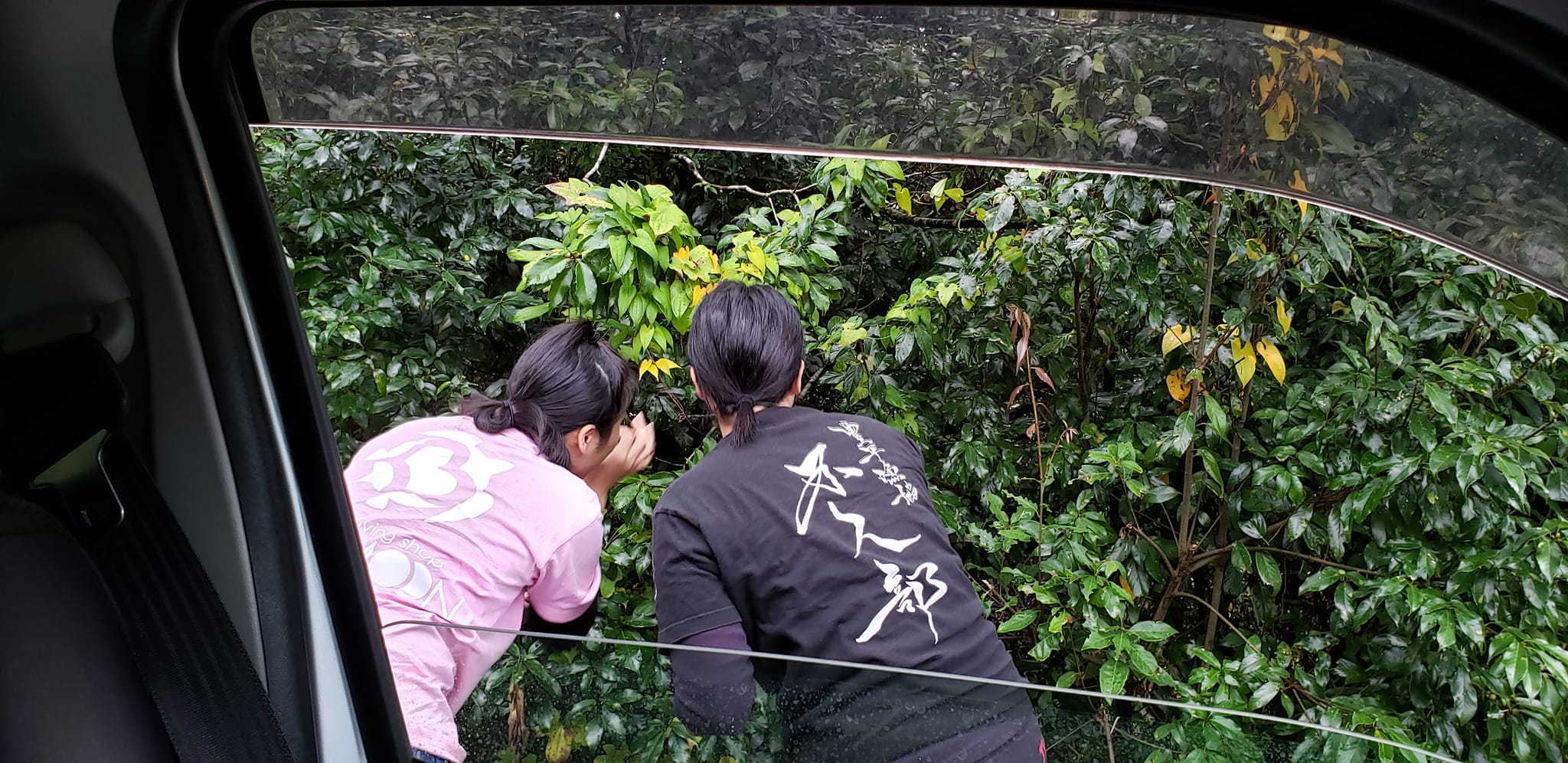 256301418_2415920661872774_3552162643460450231_n