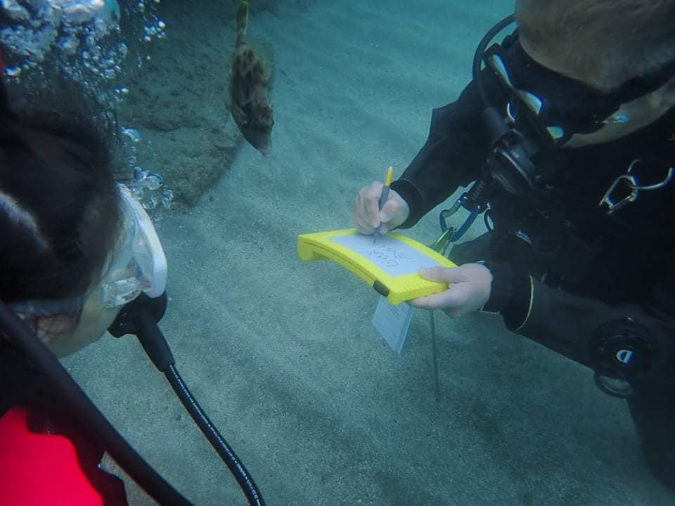 256418590_2415920481872792_1773441208368917256_n