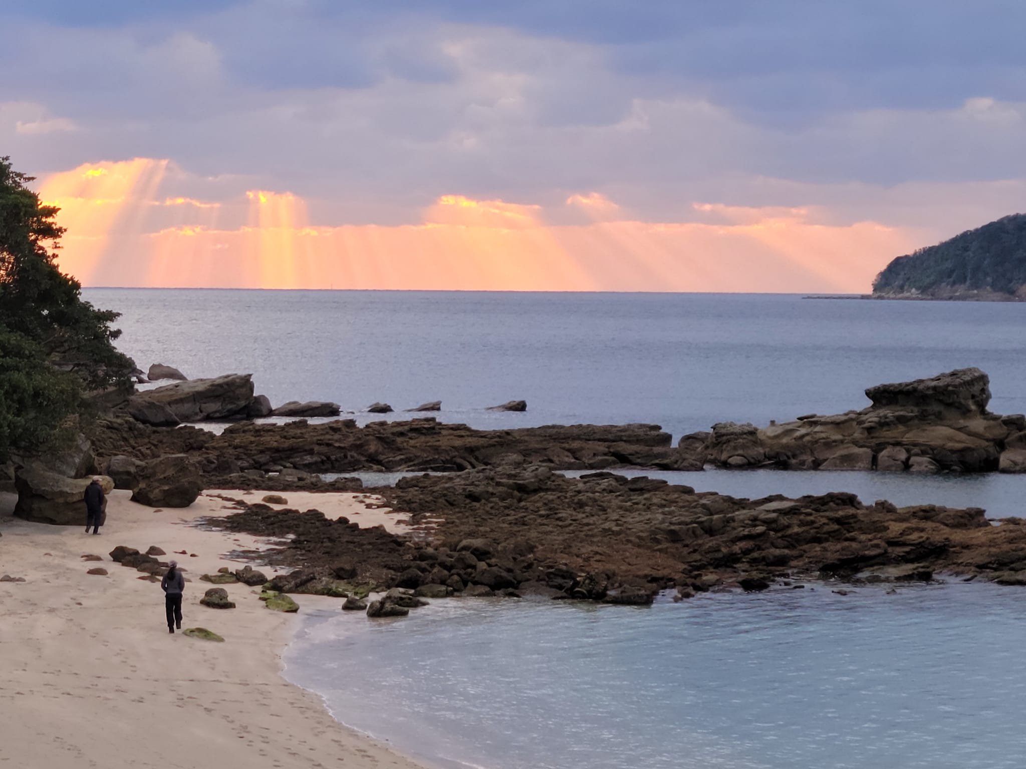 264372091_2433958003402373_8168971940738875623_n