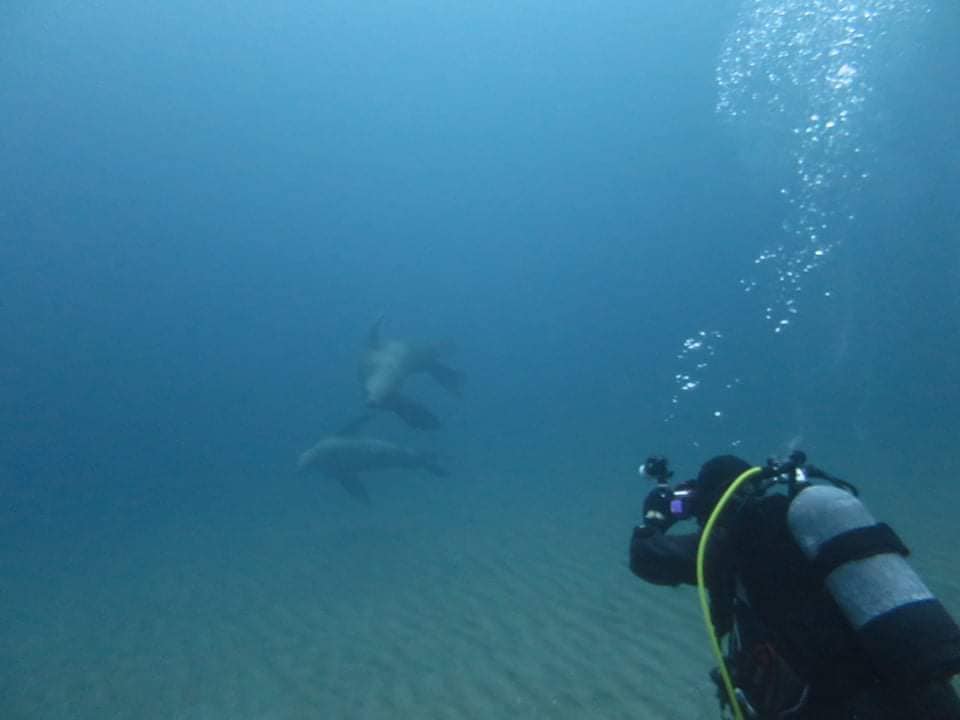 271629353_2462229550575218_7781458426180742506_n