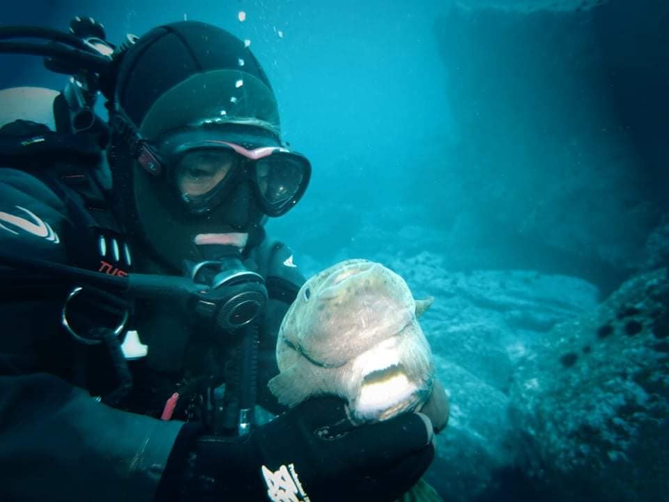 271650262_2463811357083704_7415561834076817358_n