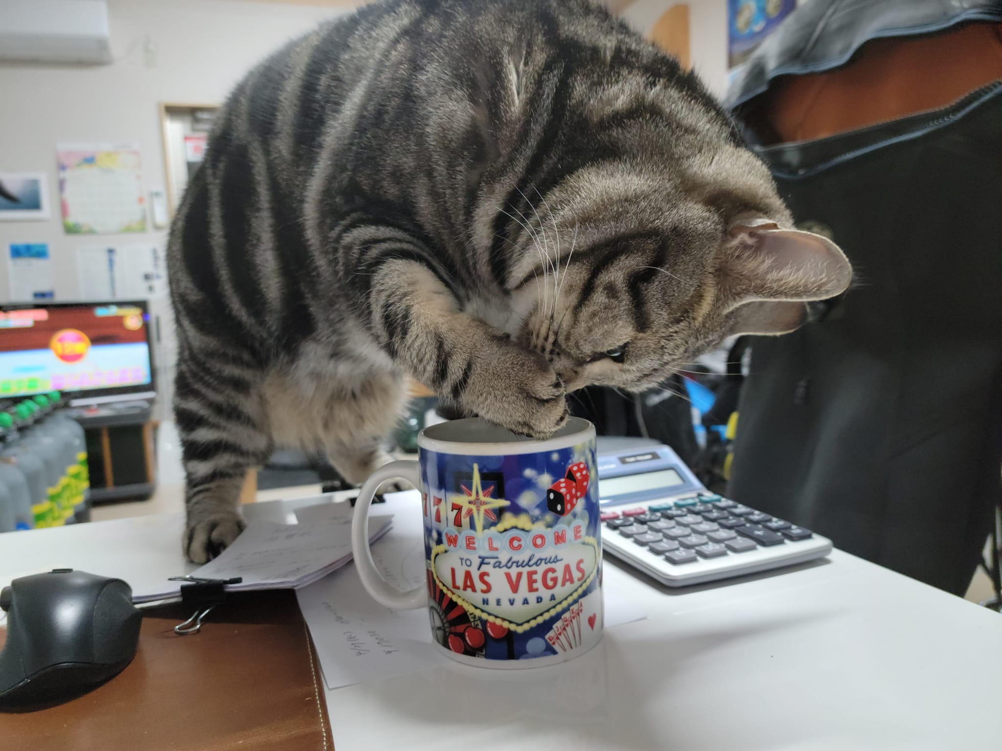 276135214_2543045665826939_5438576204617678644_n