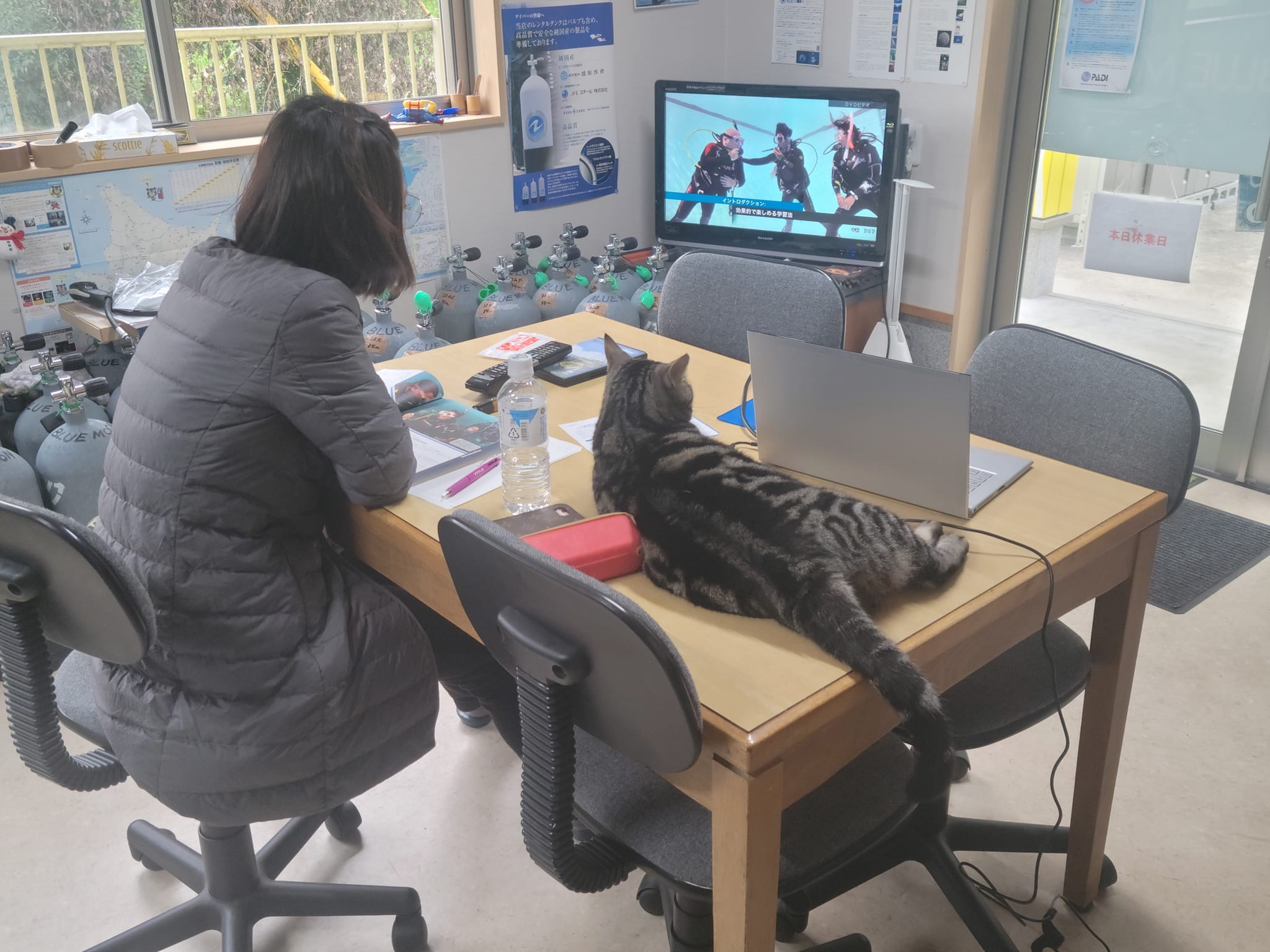 277348215_2529105033887669_8694863523696515503_n