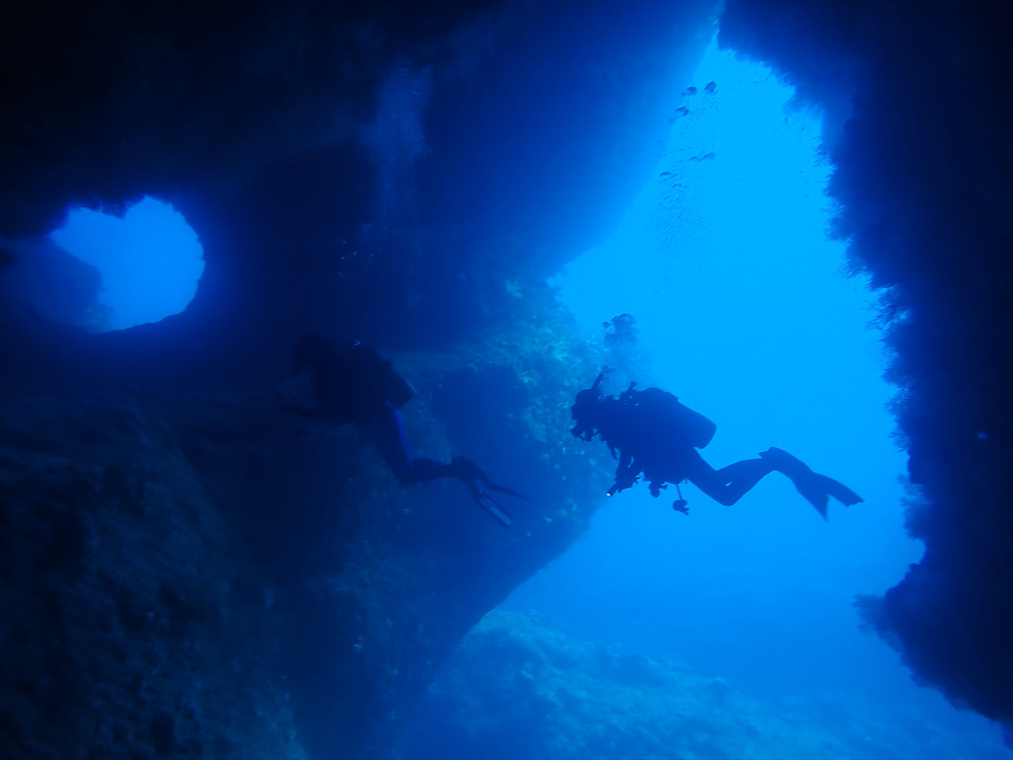 278575645_2553667044764801_5523938071232399492_n