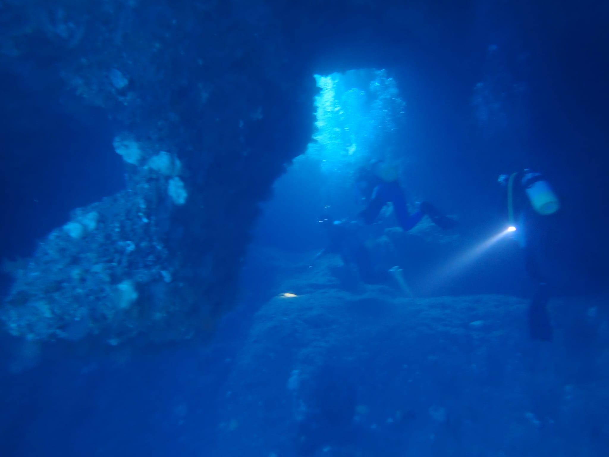 278577598_2553667091431463_5128712933535257410_n