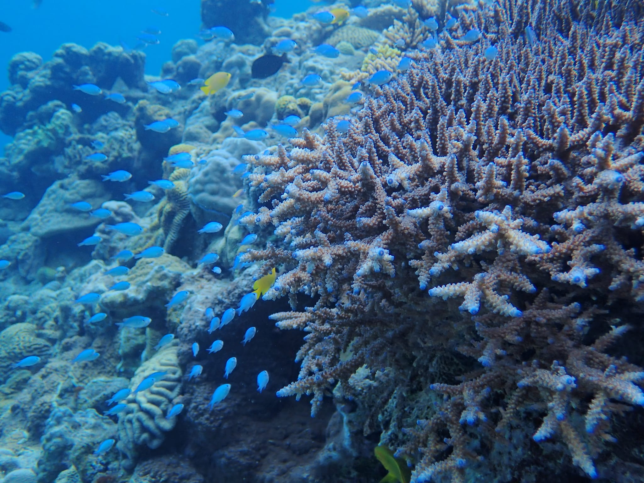 278587799_2554739307990908_7946825467959420016_n