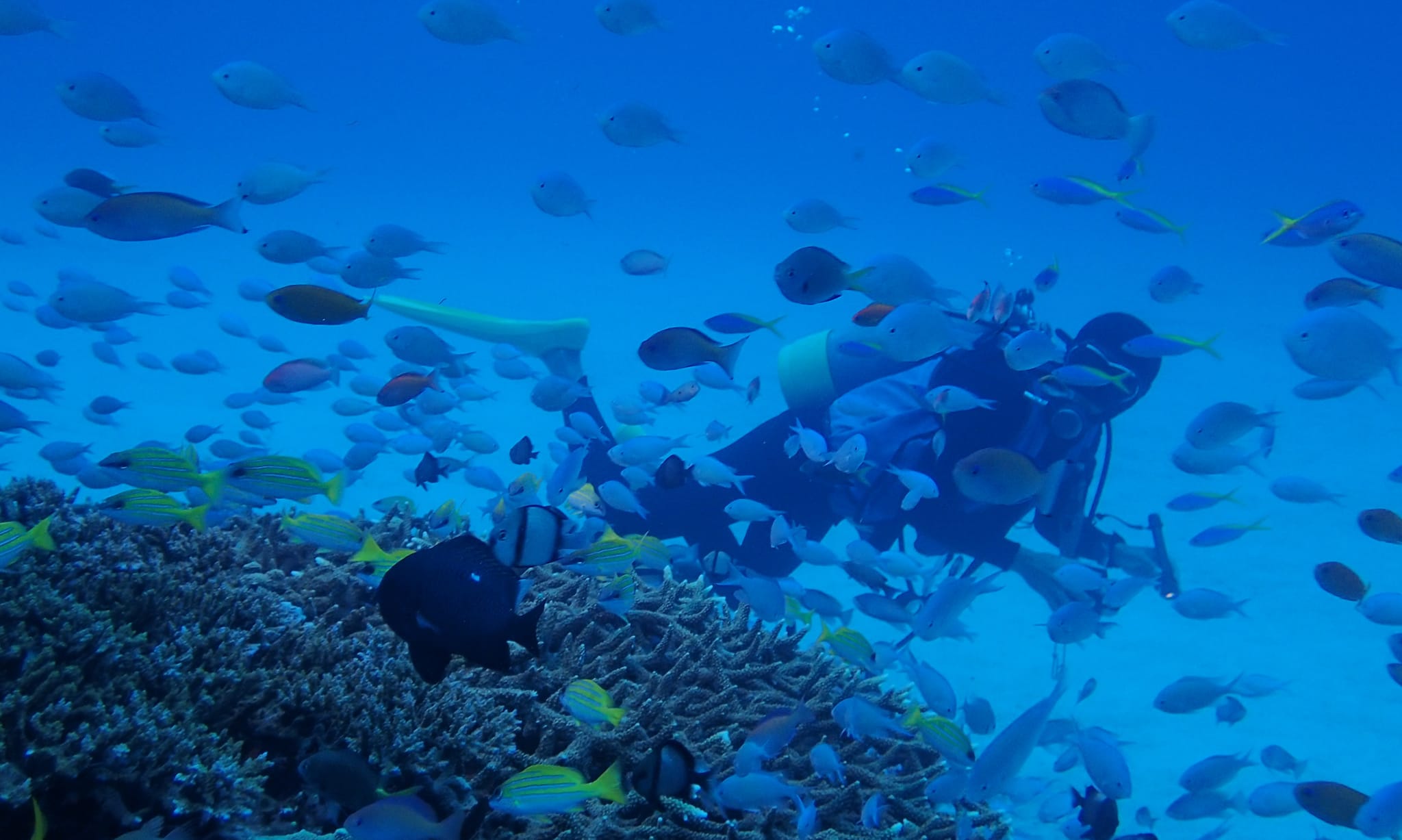 278648789_2555636607901178_2501775341443715078_n