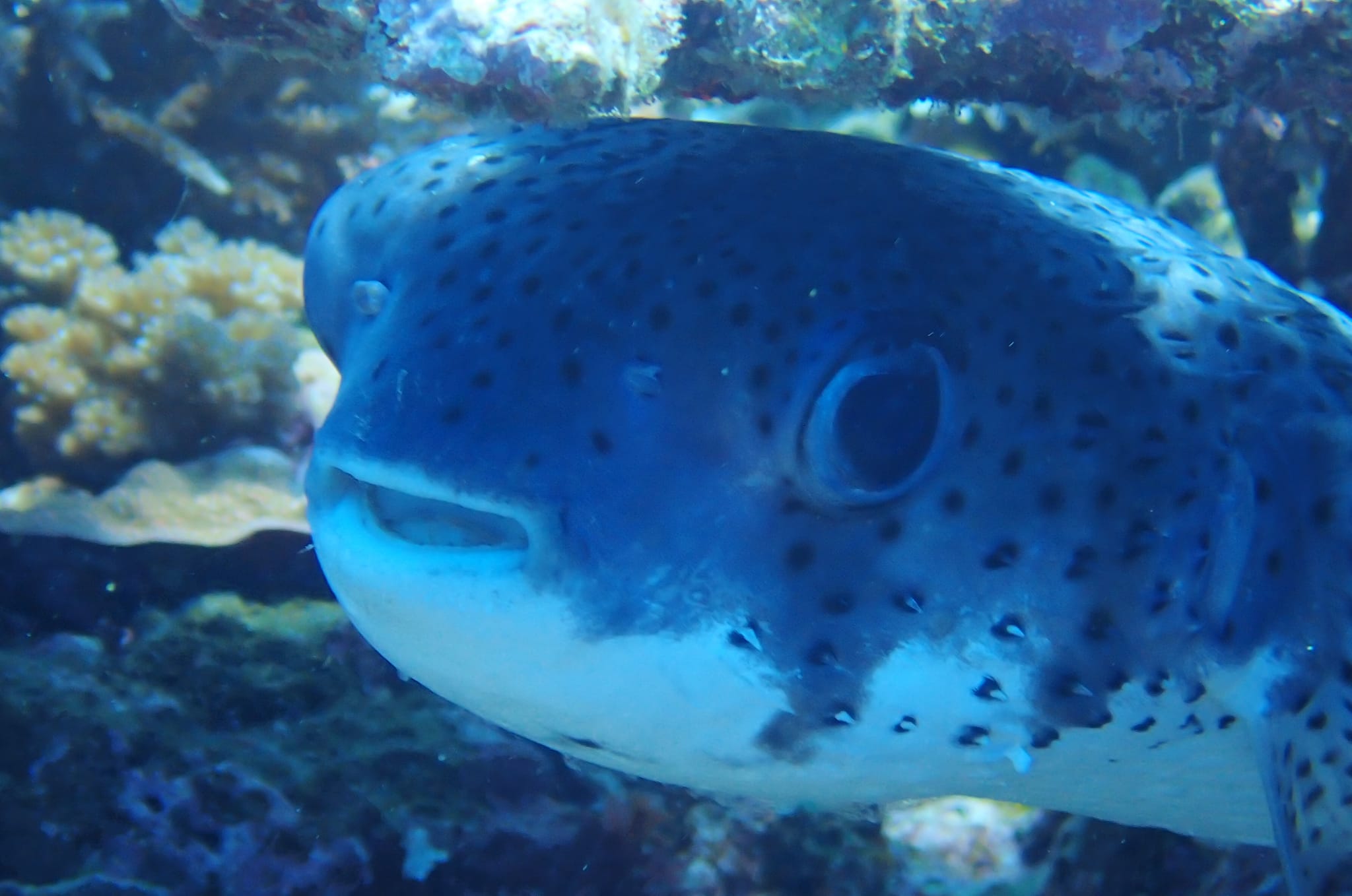 278729802_2557400174391488_5021701717005248543_n