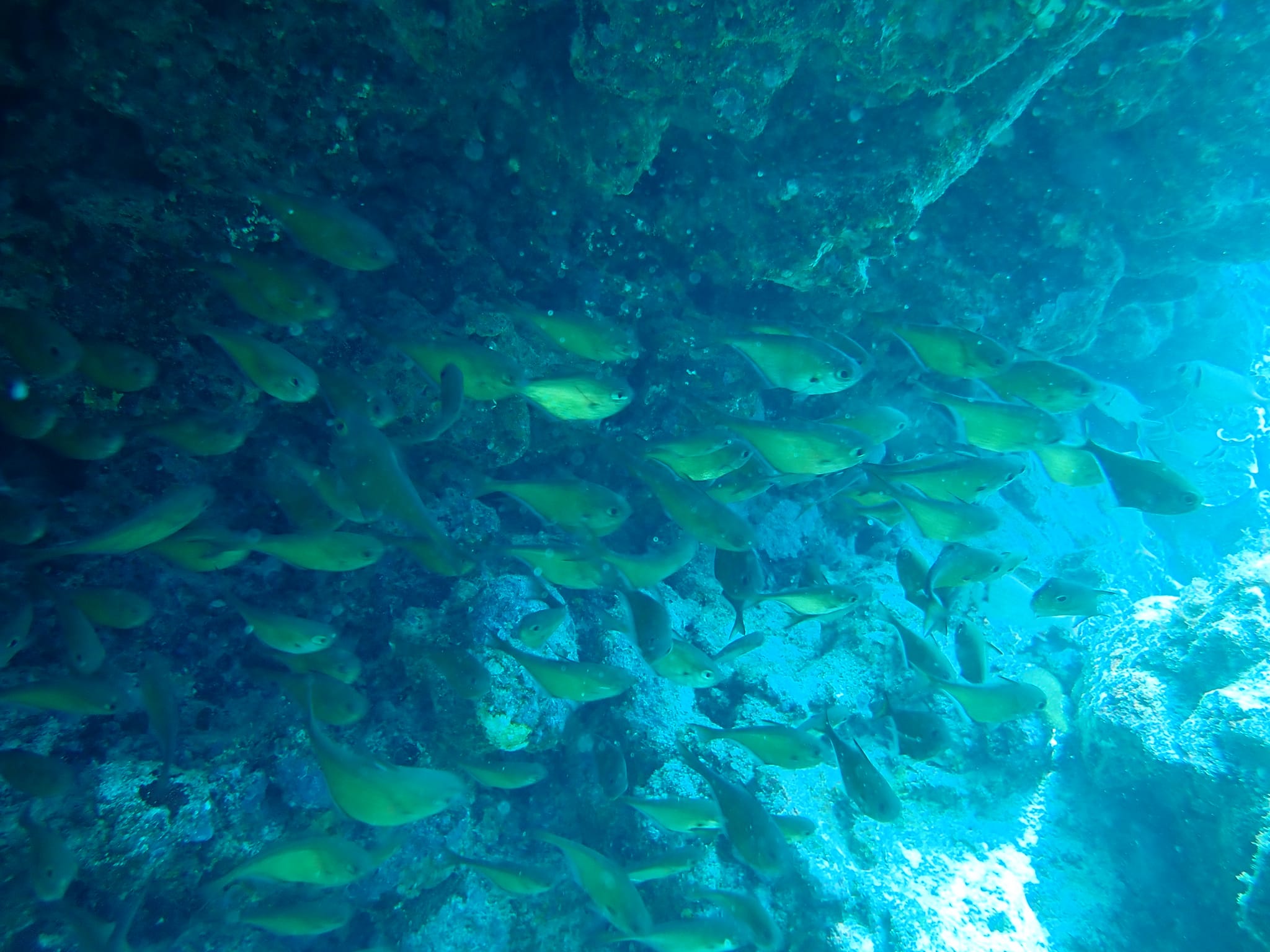 278808259_2557400421058130_1226329942722385433_n