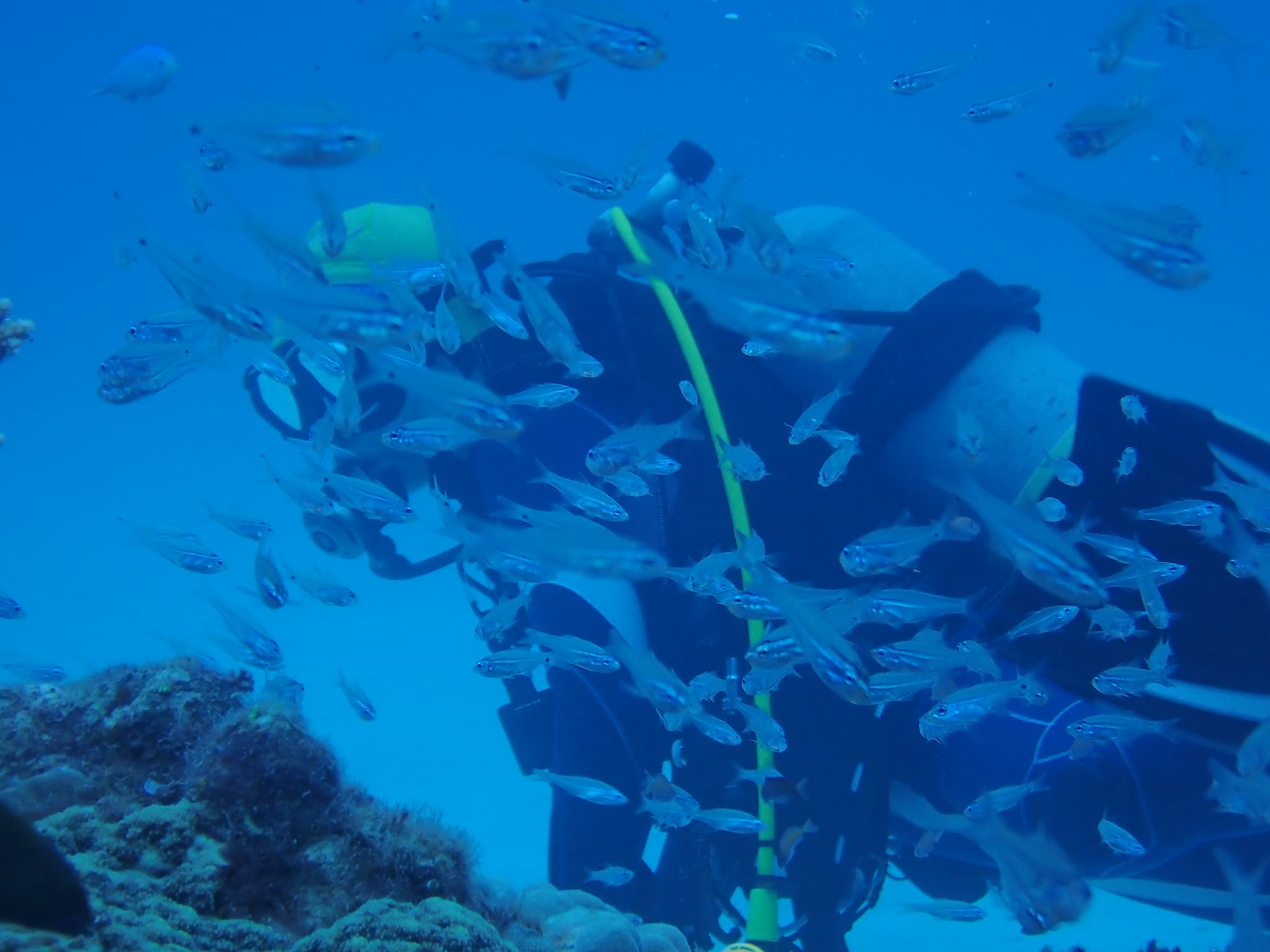 278848426_2558366420961530_8125351917091961812_n